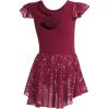 imageDIPUG Girls Ballet Leotards Toddler Shiny Dance Leotard Dresses with Ruffle SleeveBurgundy