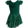 imageDIPUG Girls Ballet Leotards Toddler Shiny Dance Leotard Dresses with Ruffle SleeveDark Green