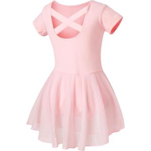 imageDIPUG Ballet Leotards for Girls Dance Leotard Toddler Ballet OutfitPink