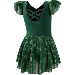 imageDIPUG Ballet Leotards for Girls with Skirt Shiny Toddler Dance Leotard ButterflyDark Green