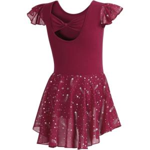 imageDIPUG Girls Ballet Leotards Toddler Shiny Dance Leotard Dresses with Ruffle SleeveBurgundy