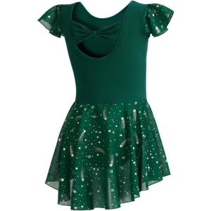 imageDIPUG Girls Ballet Leotards Toddler Shiny Dance Leotard Dresses with Ruffle SleeveDark Green