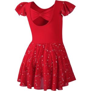 imageDIPUG Girls Ballet Leotards Toddler Shiny Dance Leotard Dresses with Ruffle SleeveRed