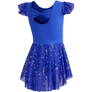 imageDIPUG Girls Ballet Leotards Toddler Shiny Dance Leotard Dresses with Ruffle SleeveRoyal Blue